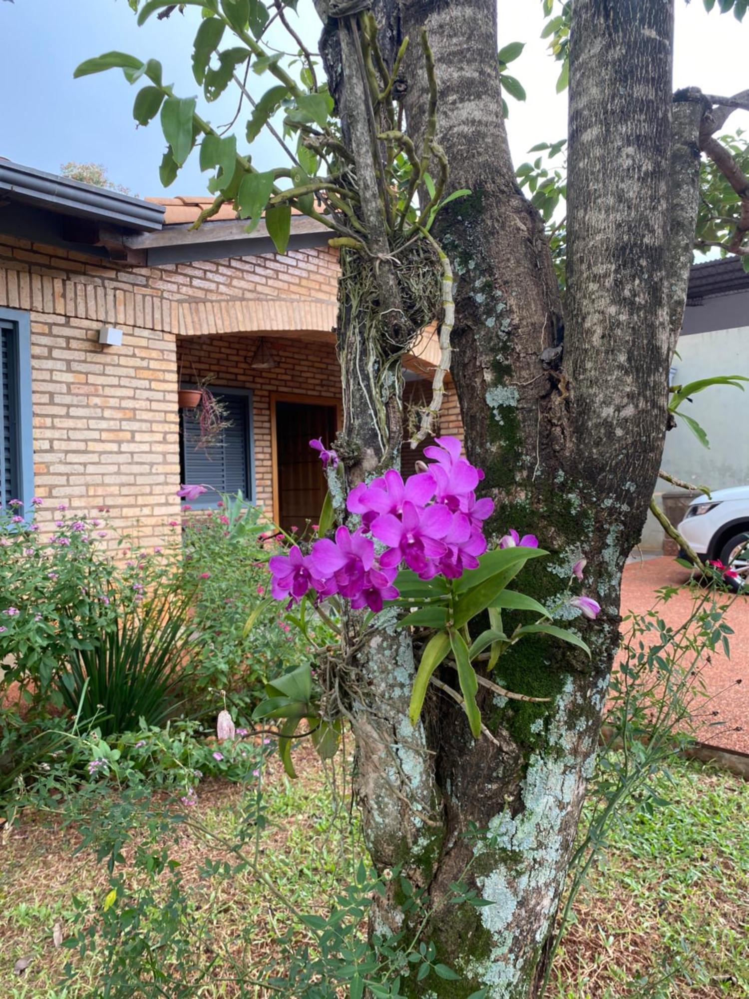 Moderna Y Unica Casa Independiente Con Jardin Y Estacionamiento Ciudad del Este Exterior foto